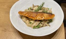 Featured image of post 食材丰富的risotto